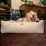 legowisko dla psa verona beżowa z psem