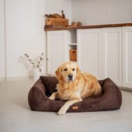 legowisko i bernardyn-w-brazowym-rimini.jpg