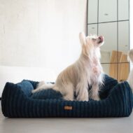 legowisko i bialy-pies-w-granatowym-legowisku-palermo