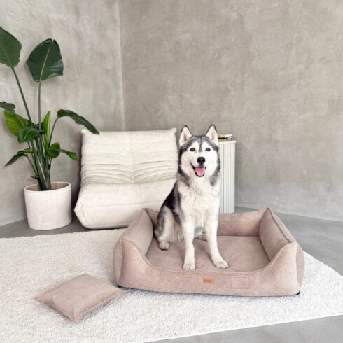 legowisko dla psa ciemnobezowe-torino-z-psem.jpg