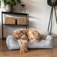 duzy-pies-w-jasnoszarym-legowisku-dla-psa-milano