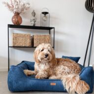 granatowe-legowisko-dla-psa-z-psem