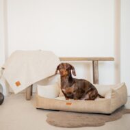 legowisko i jamnik-w-anconie-bezowej.jpg