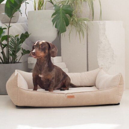 legowisko i jamnik-w-bezowej-anconie.jpg