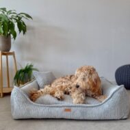 jasnoszare-legowisko-dla-psa-milano-z-psem