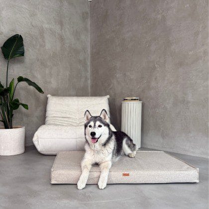 legowisko dla psa kolekcja-roma-materace-ortopedyczne