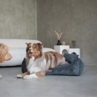 lezacy-pies-w-ciemnoszarym-legowisku dla psa -milano