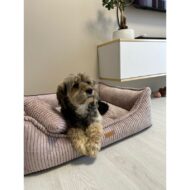 lezacy-pies-w-rozowym-legowisku-dla-psa-milano.jpg