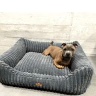 maly-pies-w-legowisku-ortopedycznym-palermo