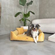 pies-na-musztardowym legowisku dla psa -torino.jpg