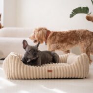 pies-w-bezowym-legowisku-palermo