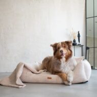 legowisko i pies-w-bezowym-legowisku-rimini.jpg