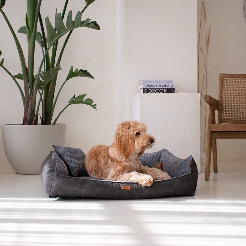 legowisko dla psa ancona ciemnoszara z psem