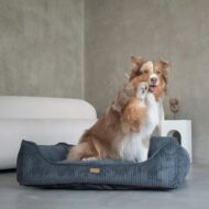 pies-w-ciemnoszarym-legowisku dla psa