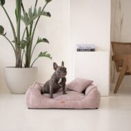 pies-w-rozowym-legowisku-dla-psa-milano.jpg