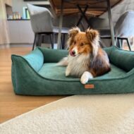 pies-w-zielonym legowisku dla psa -torino.jpg