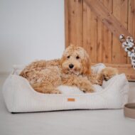 pudel-w-legowisku-dla-psa-milano.jpg