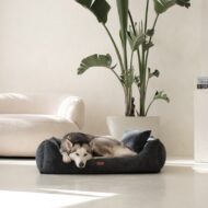 legowisko i spiacy-pies-w-ciemnoszarym-rimini.jpg