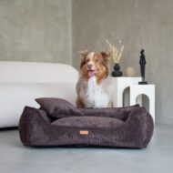 stojacy-pies-przy-legowisku-brazowym-milano