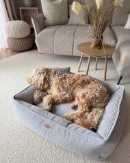 legowisko dla psa verona szara z psem